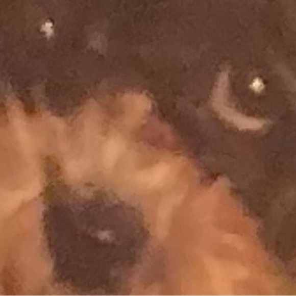 uwucrimes